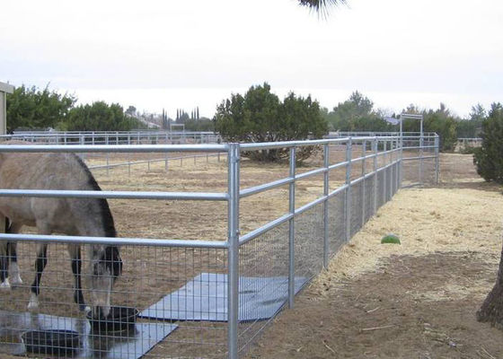 le cheval de fil soudé par 2x4 lambrisse 4 la barrière de cheval soudée par mesure de la mesure 6