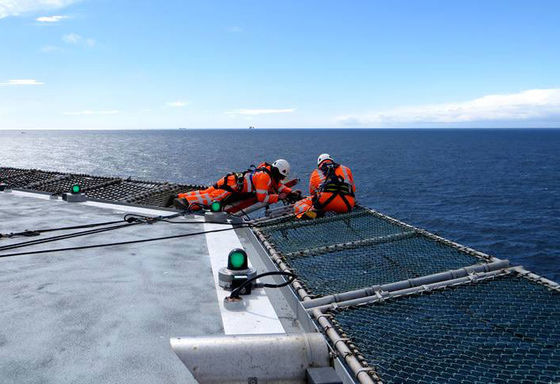 316L solides solubles chaîne la force à haute résistance de filet de sécurité d'hélipont de maillon