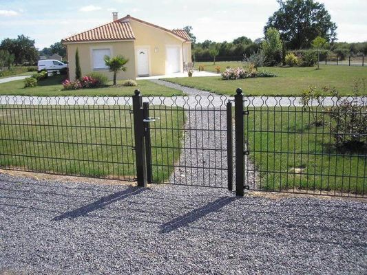 Prestige Mesh 868 Double fil de ferraille 50 × 200 mm Pour la décoration
