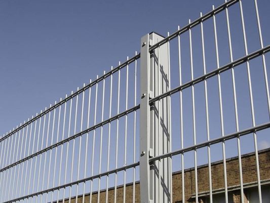 Réservoir à double treillis métallique de 2500 mm 50 × 200 mm Vert galvanisé revêtu