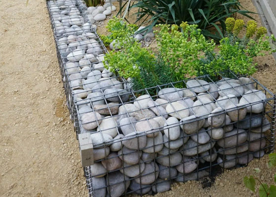 Un design unique crée des paniers en gabions pour les jardins et les parkings