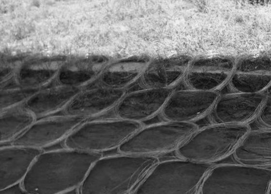 Réseau de barrière de chars Traces de chars Réseau de blessures de champ de bataille filet de fil de fer
