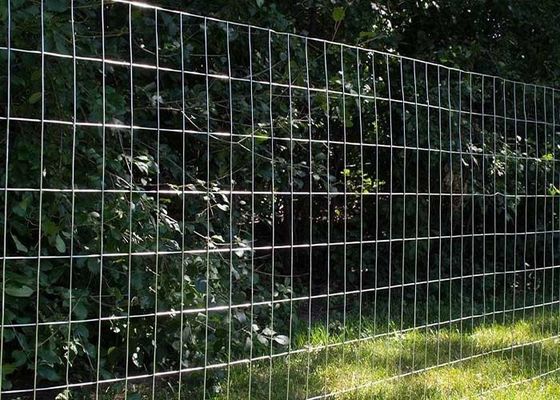 Fermeture galvanisée en fil de fer laminé soudé avec maillage de 2 x 4 pouces