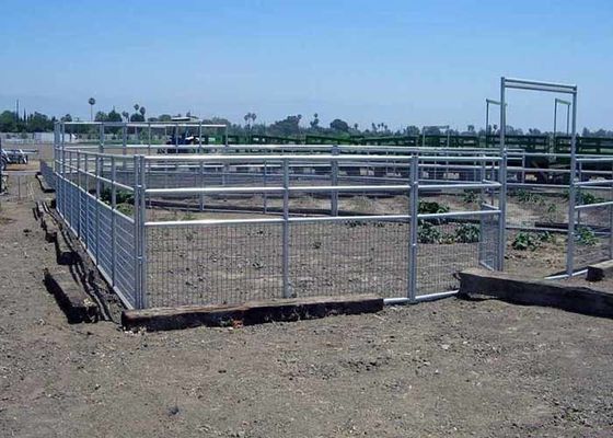 Fermeture à cheval en fil de ferraille soudé avec haute résistance et sécurité