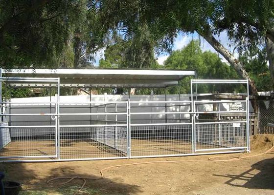 Fermeture à cheval en fil de ferraille soudé avec haute résistance et sécurité